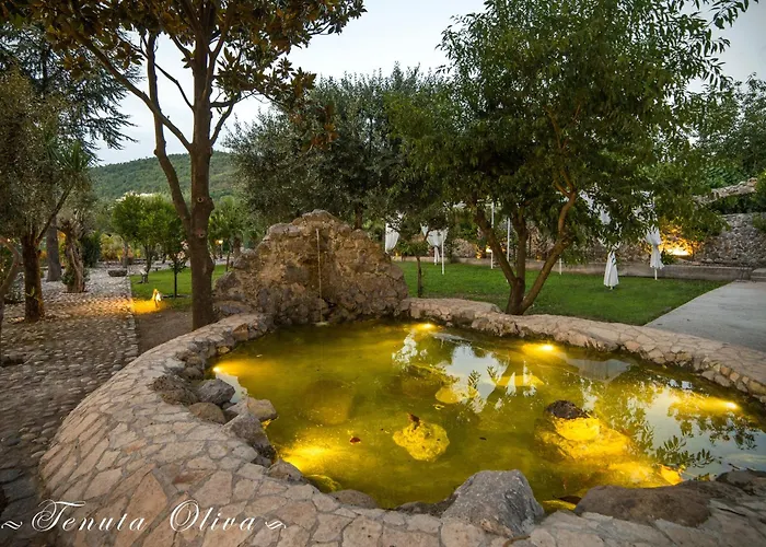 Tenuta Oliva